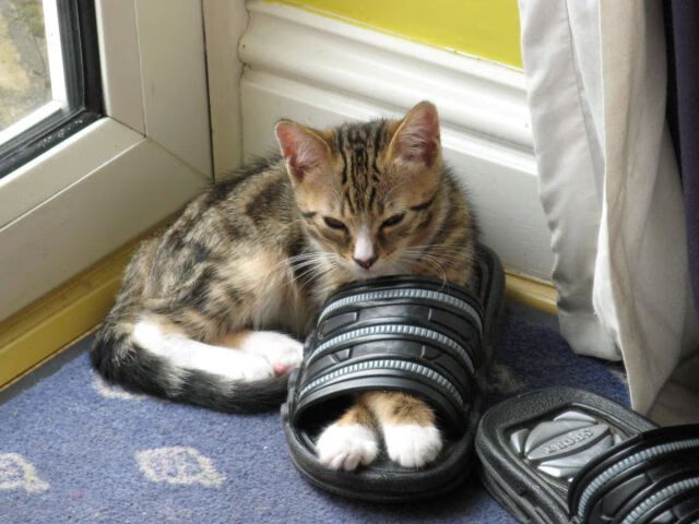 英格拉姆封神之战！老鹰加时搏命擒热火挺进季后赛