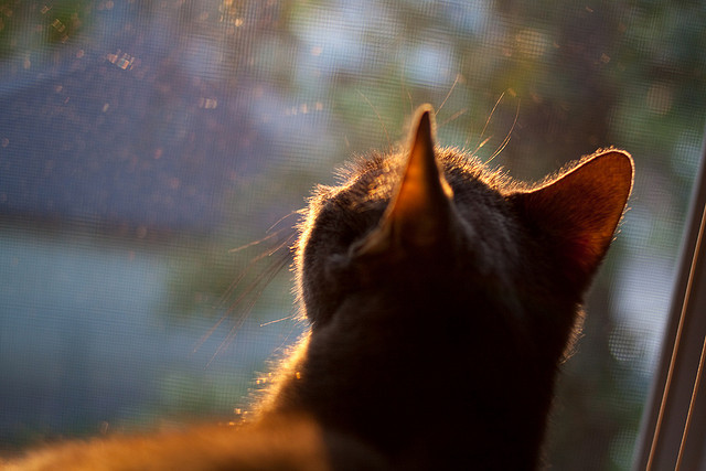 双星对撞夜,拉梅洛用对阵字母定义未来巨星路