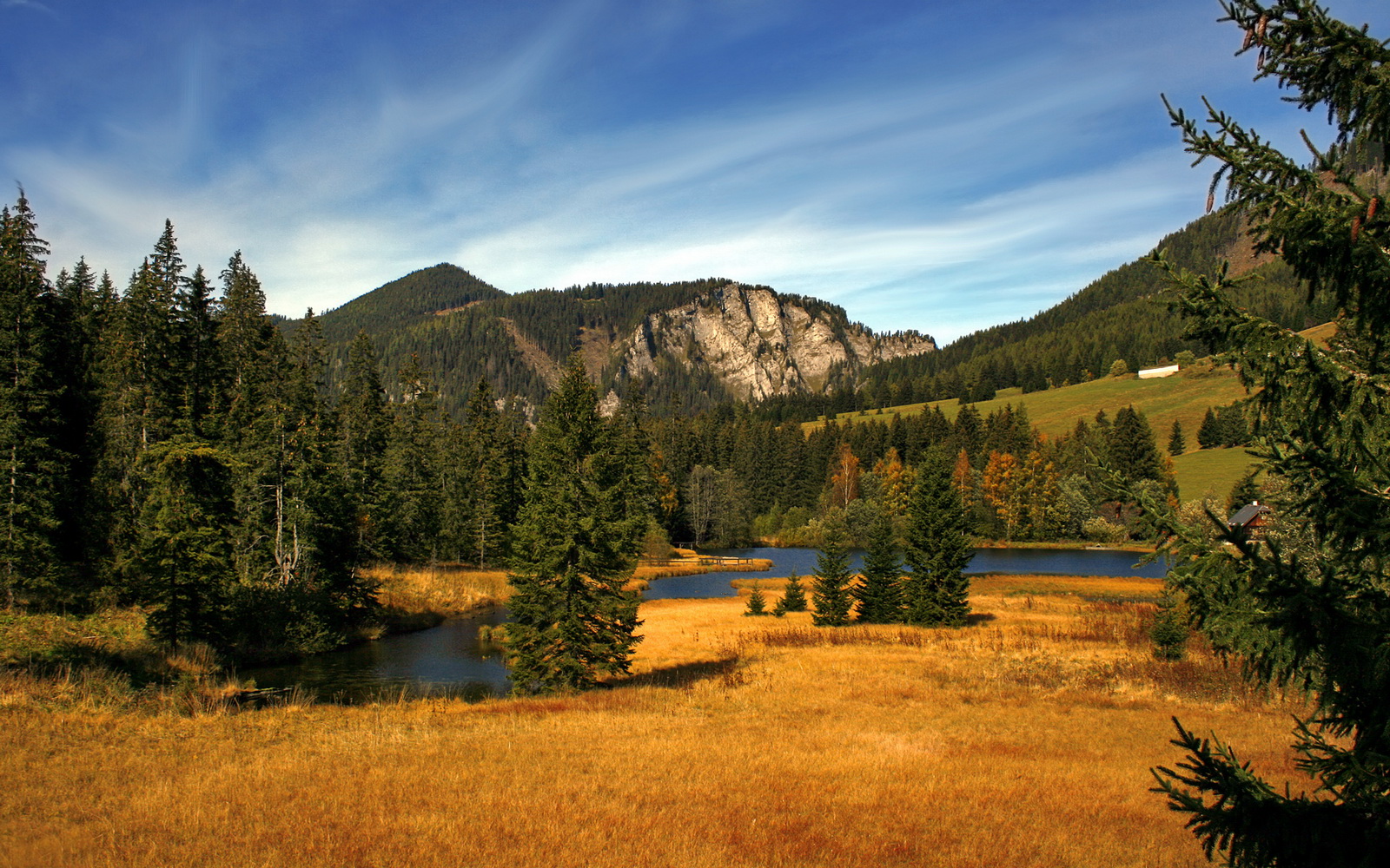 焦点战之夜，马克西绽放光芒，雄鹿末节风暴击溃骑士