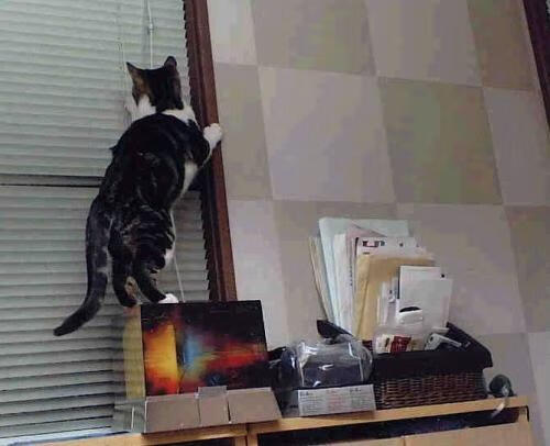 苏醒的逆流，哈登末节19分击碎深圳，山西男篮的战术觉醒