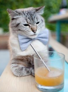 刹车比扣篮更锋利，当恩比德的指尖遇见F1弯道的心跳