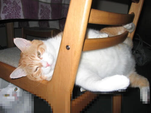 刹车比扣篮更锋利，当恩比德的指尖遇见F1弯道的心跳