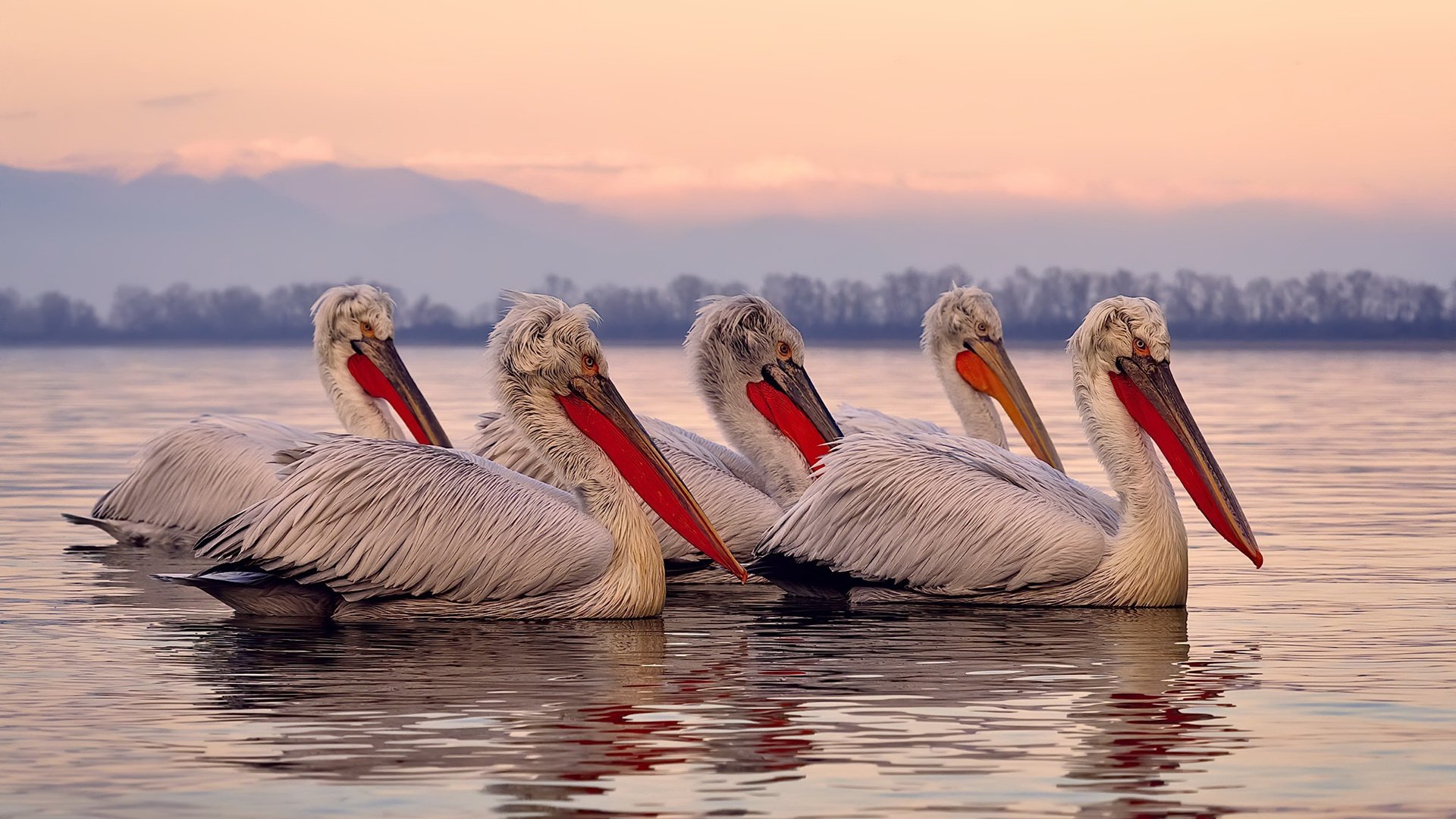 跨界终极对决，当篮球抢七遭遇F1方格旗，人类竞技的宿命在何处鸣响？