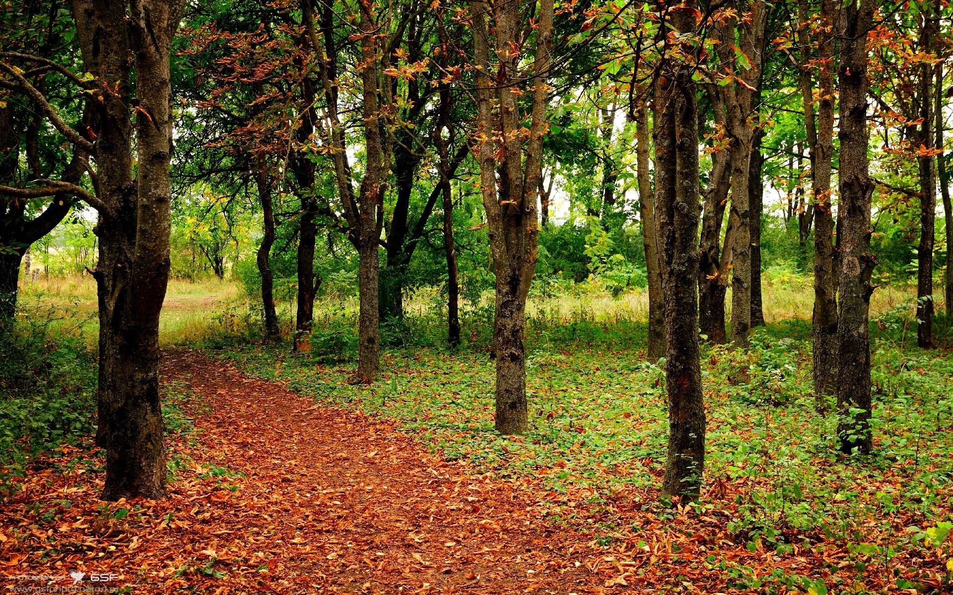 钢铁封锁线，当山西队的防守哲学降临F1街道赛