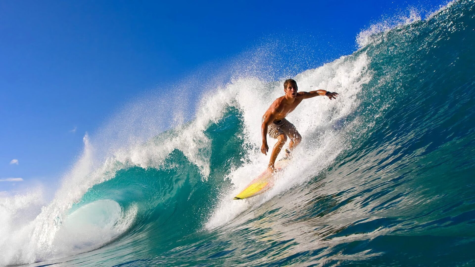 末节奇迹与全球荣耀，山西力克雄鹿，范弗利特主宰世界排名战