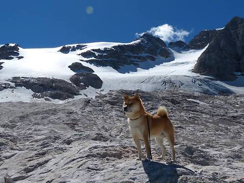 罗讷河德比重塑法国足球版图，里昂打穿马赛引爆世界排名争夺战