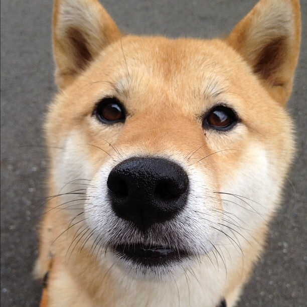 金州雷霆夜，当克莱披上蓝色战衣