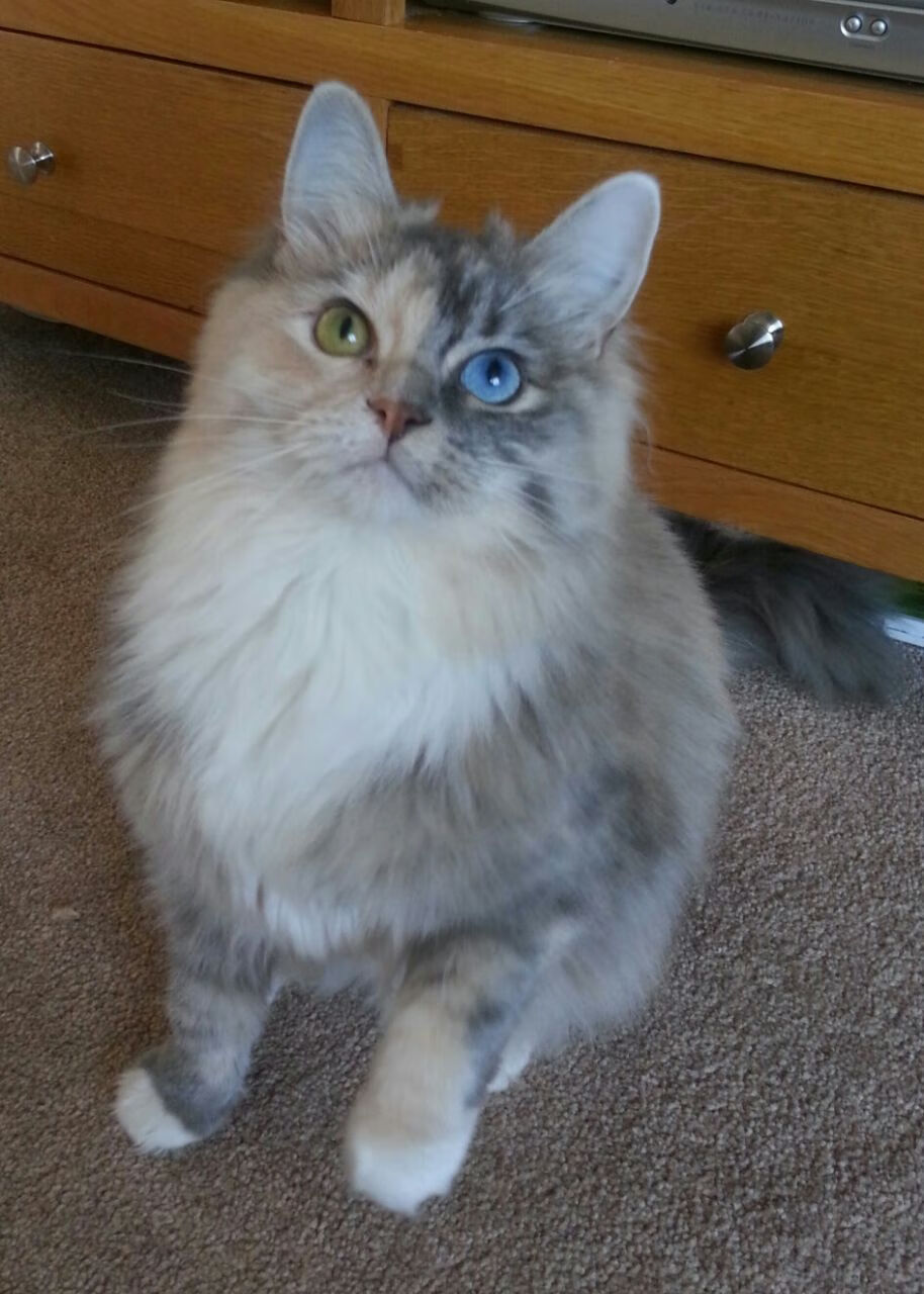 当奇才再遇马刺之冷，霍勒迪的沉默接管，如何定义了新的总决赛？