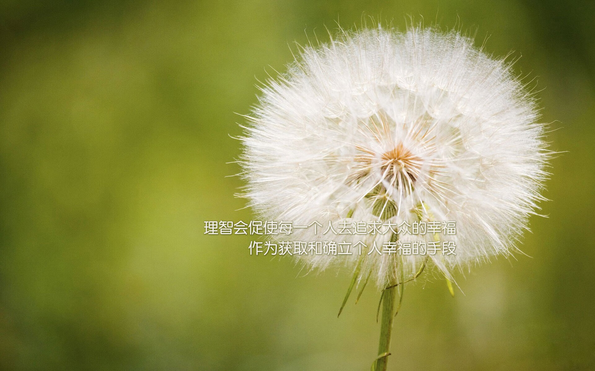 东方的子弹,西方的壁垒,巴雷拉冠军级封锁定格比利时的委内瑞拉之夜