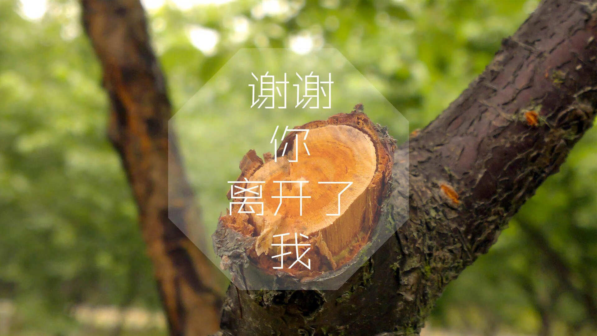 我们先来定一个既能体现碾压的震撼，又能解释托纳利这个意大利人为何出现在提及巴西和墨西哥的H组里的独特标题