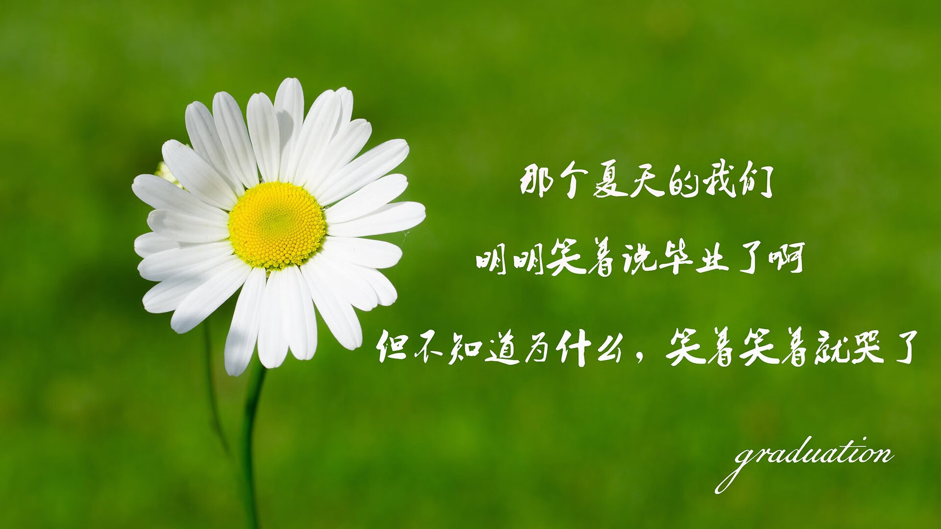 2026,当北极光吞没沙漠风暴,丹麦的救赎,和姆巴佩的唯一破晓