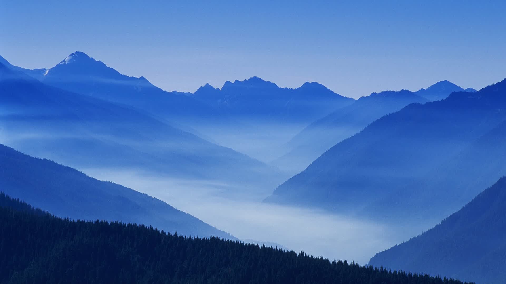 暗夜中的烈焰，当加勒比海盗的韧性击穿波斯铁骑，佩德里用足球智慧写就左路圣经