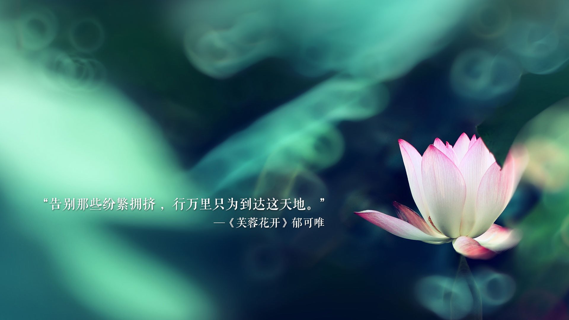 美加墨世界杯焦点战，阿联酋铁血完胜保加利亚，孙兴慜化身沙漠之王主导硬核对决